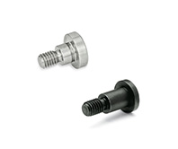 GN 732.1-Cylinder Head Shoulder Bolts